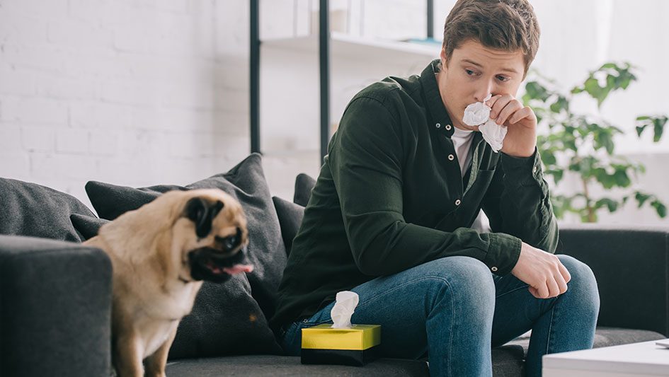 Installing an air purifier is one of the top ways to boost your residence’s indoor air quality. Find out more about the three top products. 